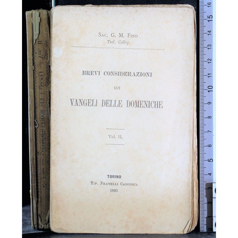 BREVI CONSIDERAZIONI VANGELI DOMENICHE. VOL II.