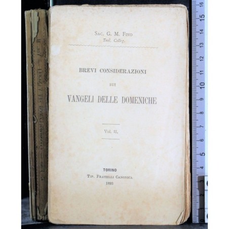 BREVI CONSIDERAZIONI VANGELI DOMENICHE. VOL II.
