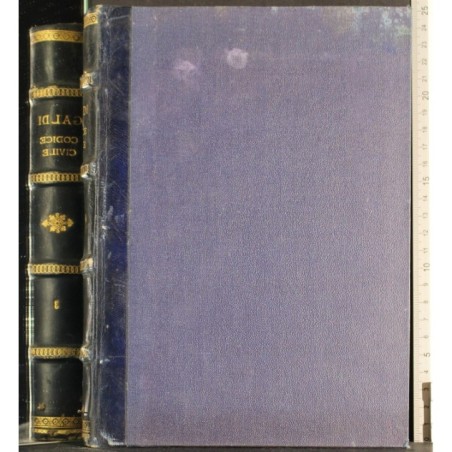 COMMENTARIO DEL CODICE CIVILE. VOL III.