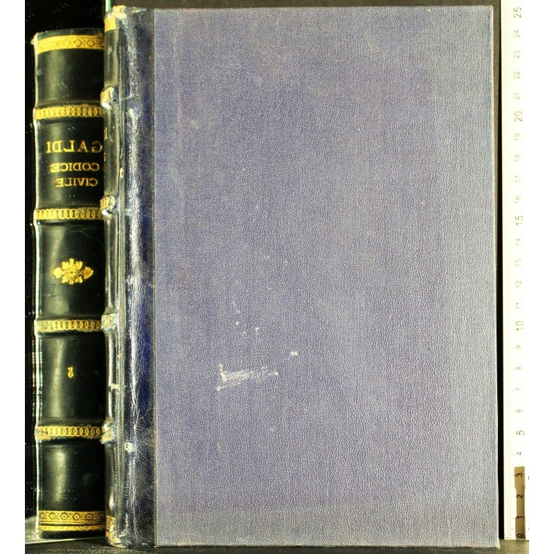 COMMENTARIO DEL CODICE CIVILE VOL V.
