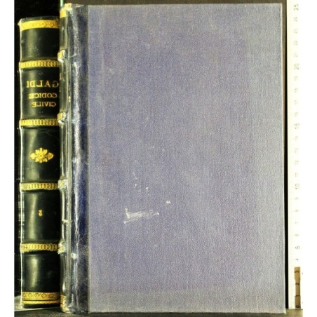 COMMENTARIO DEL CODICE CIVILE VOL V.