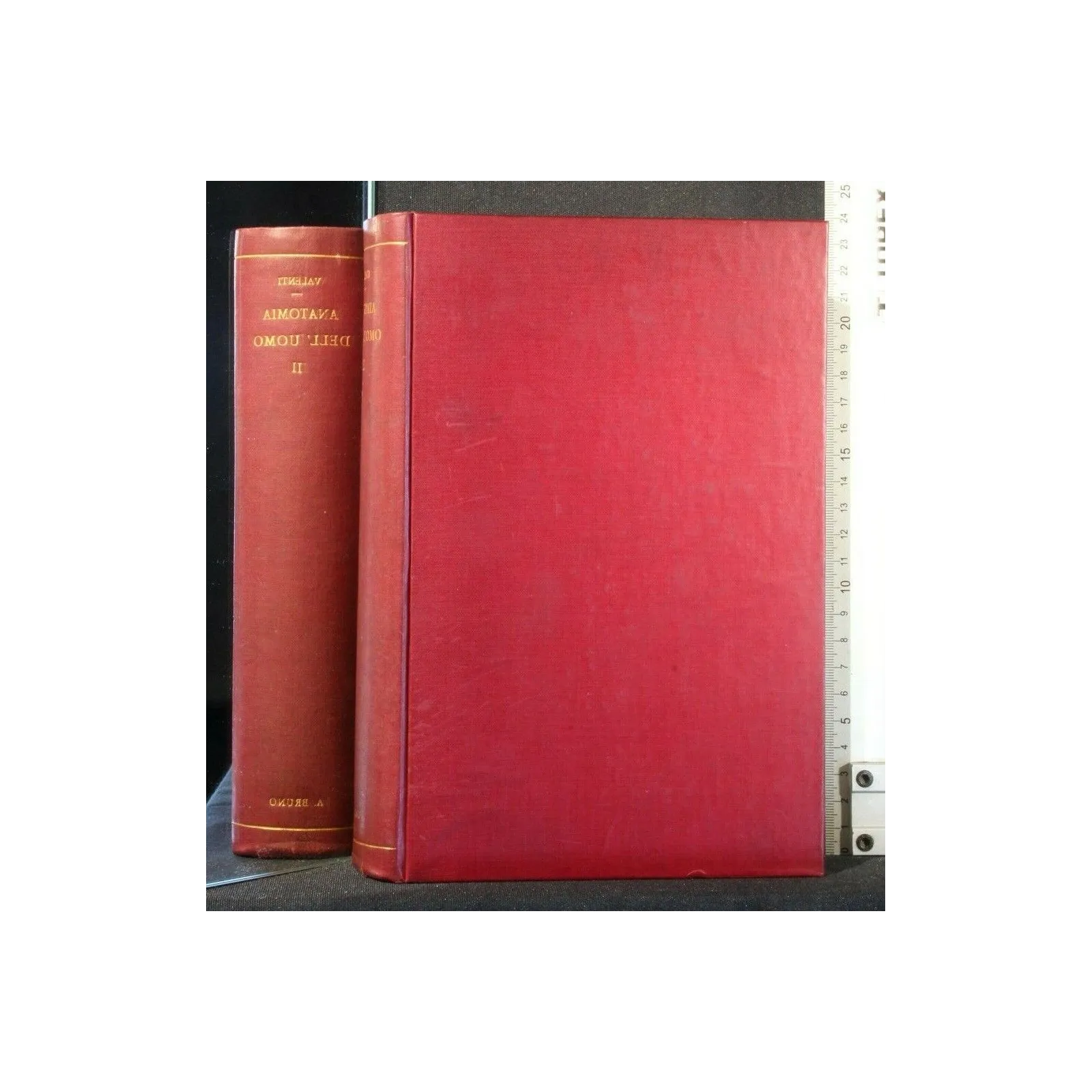 ANATOMIA DELL'UOMO VOL 2