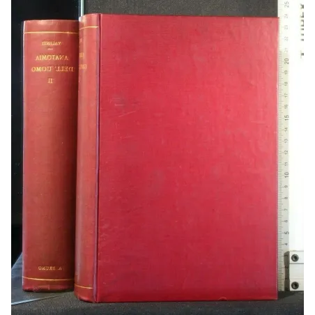 ANATOMIA DELL'UOMO VOL 2