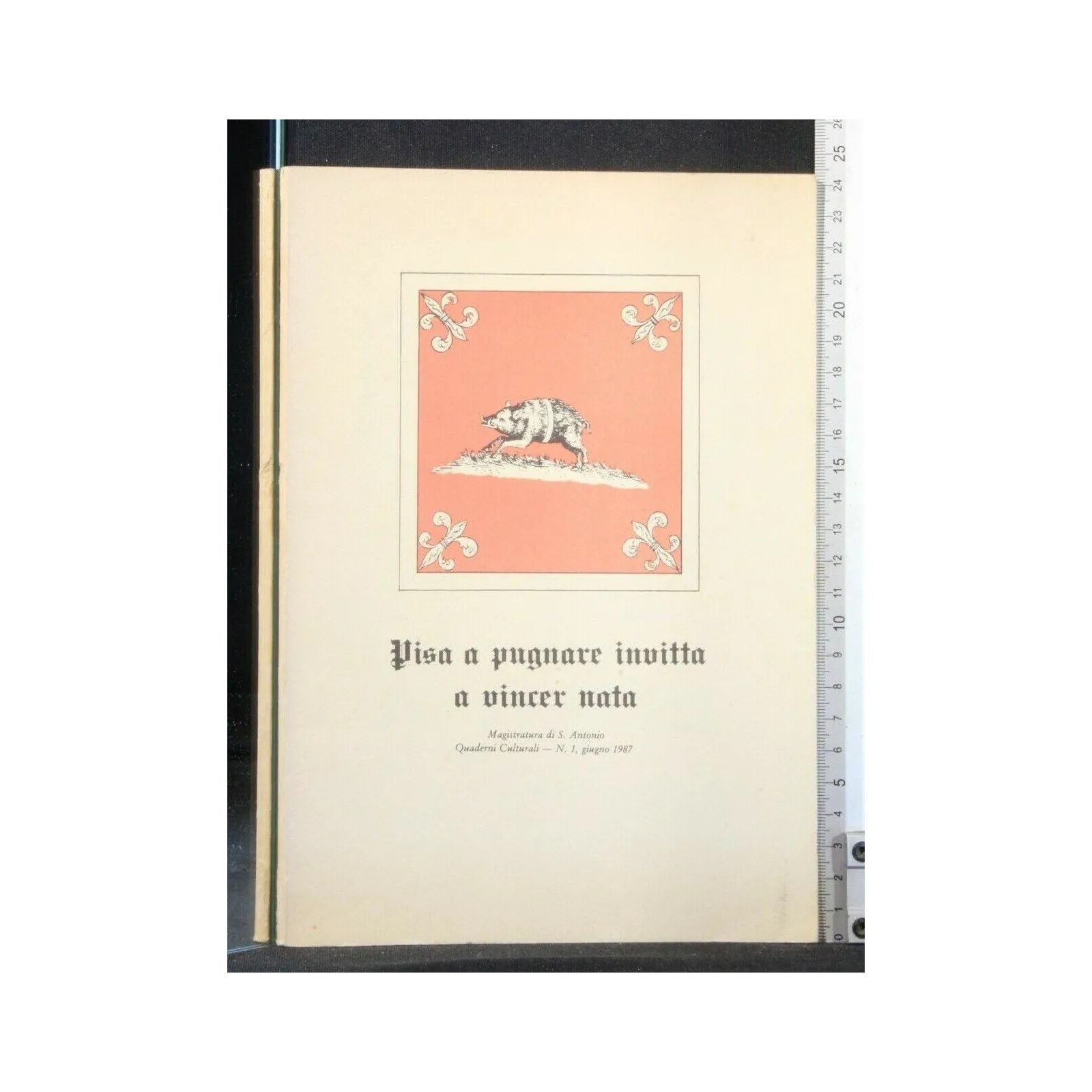 PISA A PUGNARE INVITTA A VINCER NATA MAGISTRATURA DI S. ANTONIO