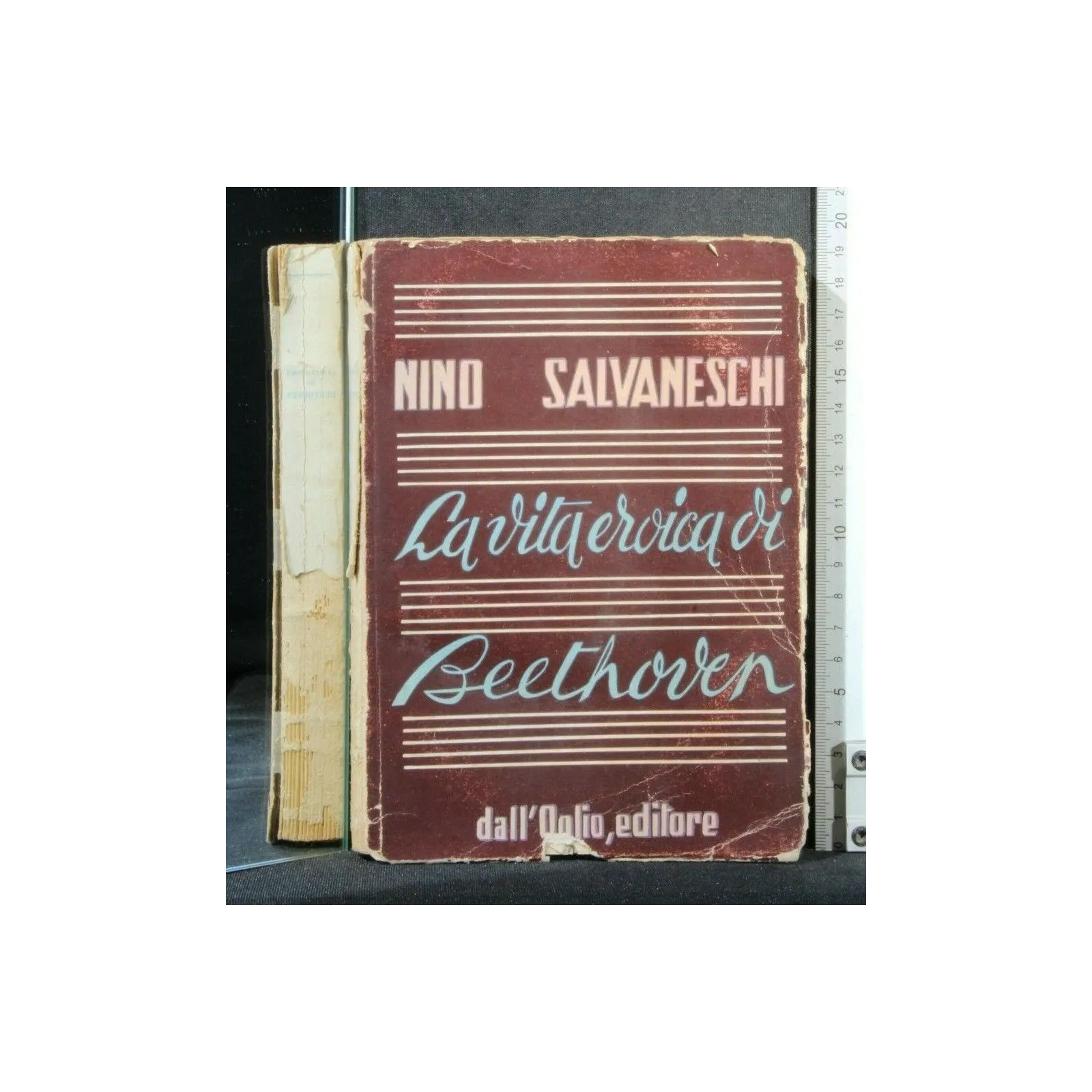 LA VITA EROICA DI BEETHOVEN