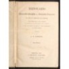 DIZIONARIO ITALIANO-IGLESE INGLESE-ITALIANO.