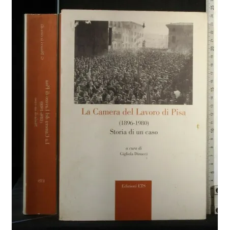 LA CAMERA DEL LAVORO DI PISA(1896-1980) STORIA DI UN CASO