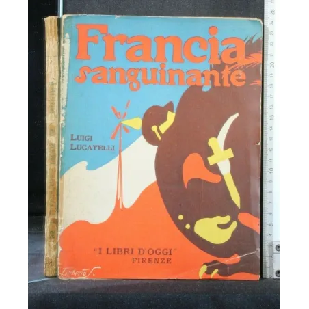 FRANCIA SANGUINANTE
