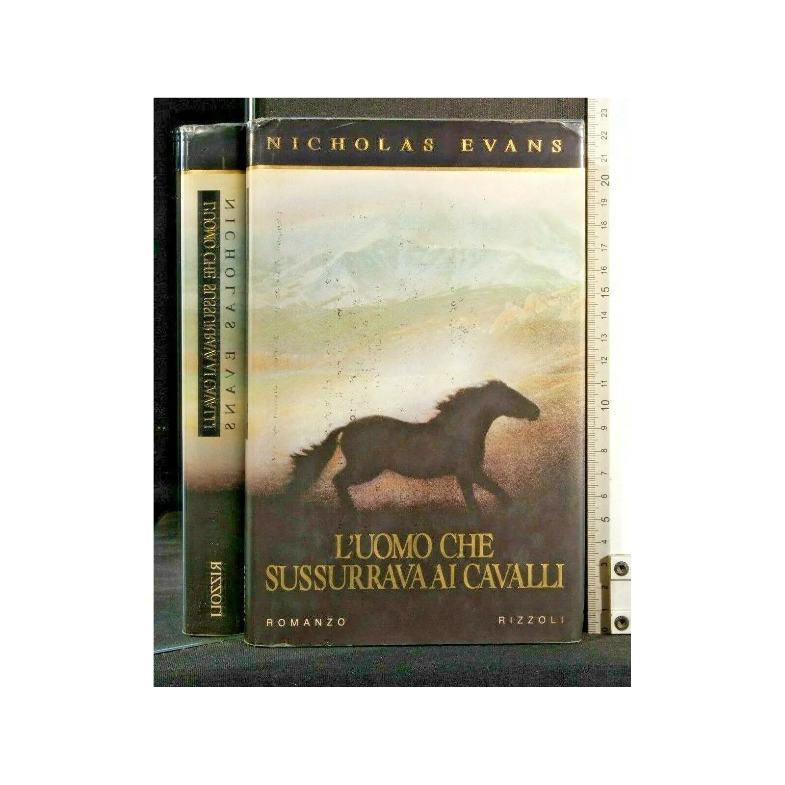 L'UOMO CHE SUSSURRAVA AI CAVALLI