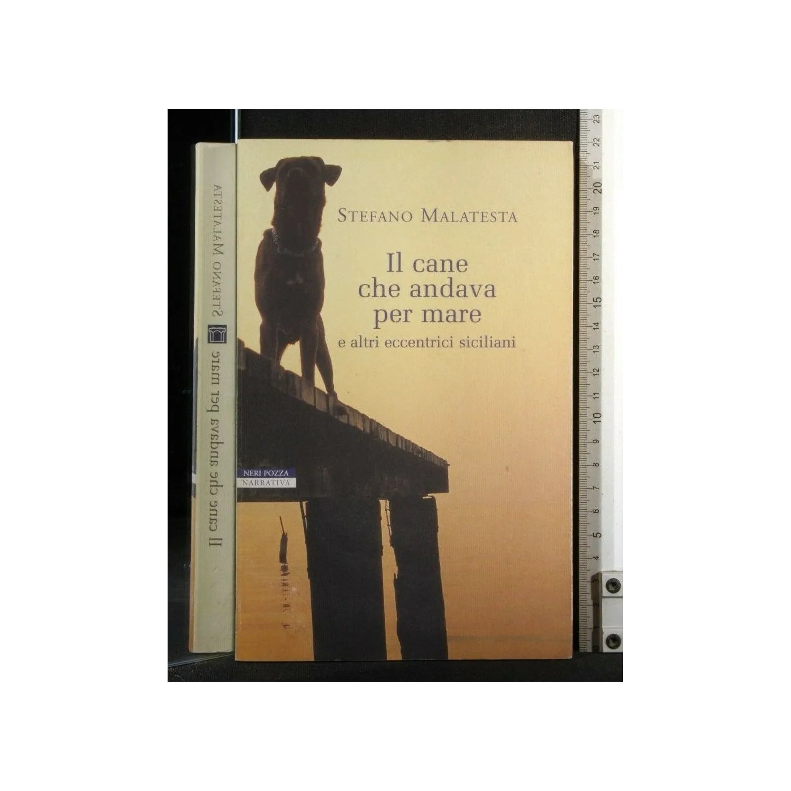 IL CANE CHE ANDAVA PER MARE E ALTRI ECCENTRICI SICILIANI