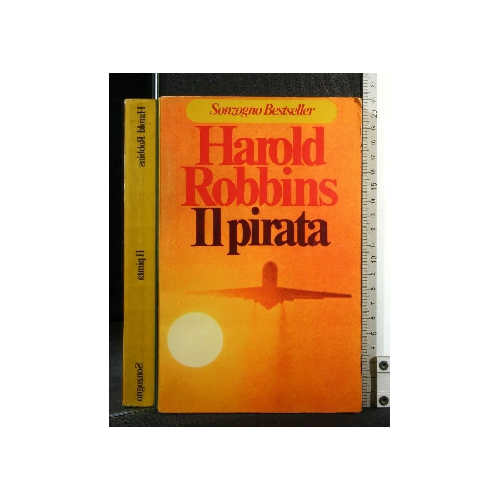 IL PIRATA