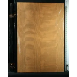 ALESSANDRO FILIPEPI DETTO SANDRO BOTTICELLI VOL. 4