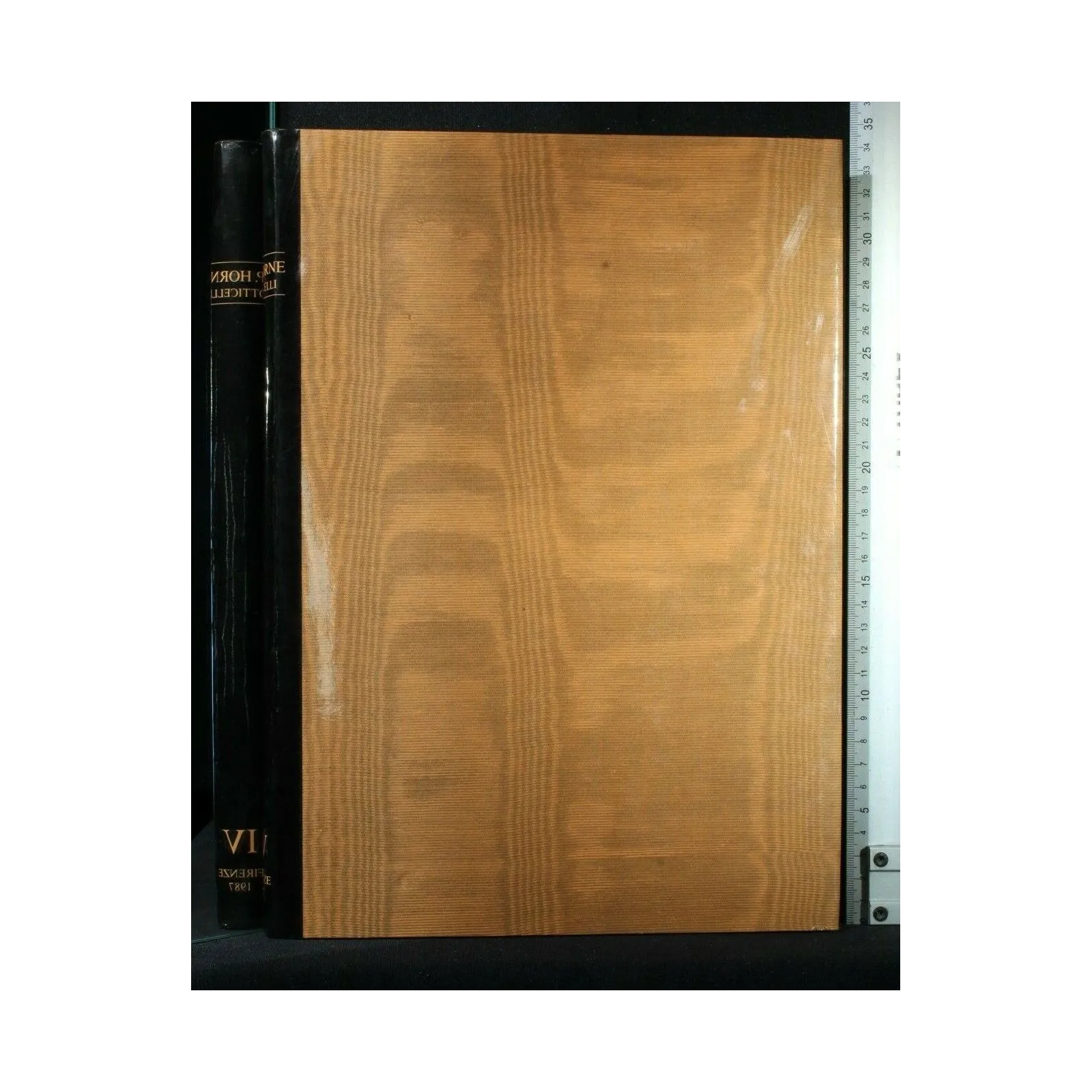 ALESSANDRO FILIPEPI DETTO SANDRO BOTTICELLI VOL. 4