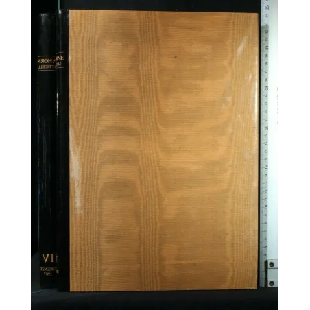 ALESSANDRO FILIPEPI DETTO SANDRO BOTTICELLI VOL. 4