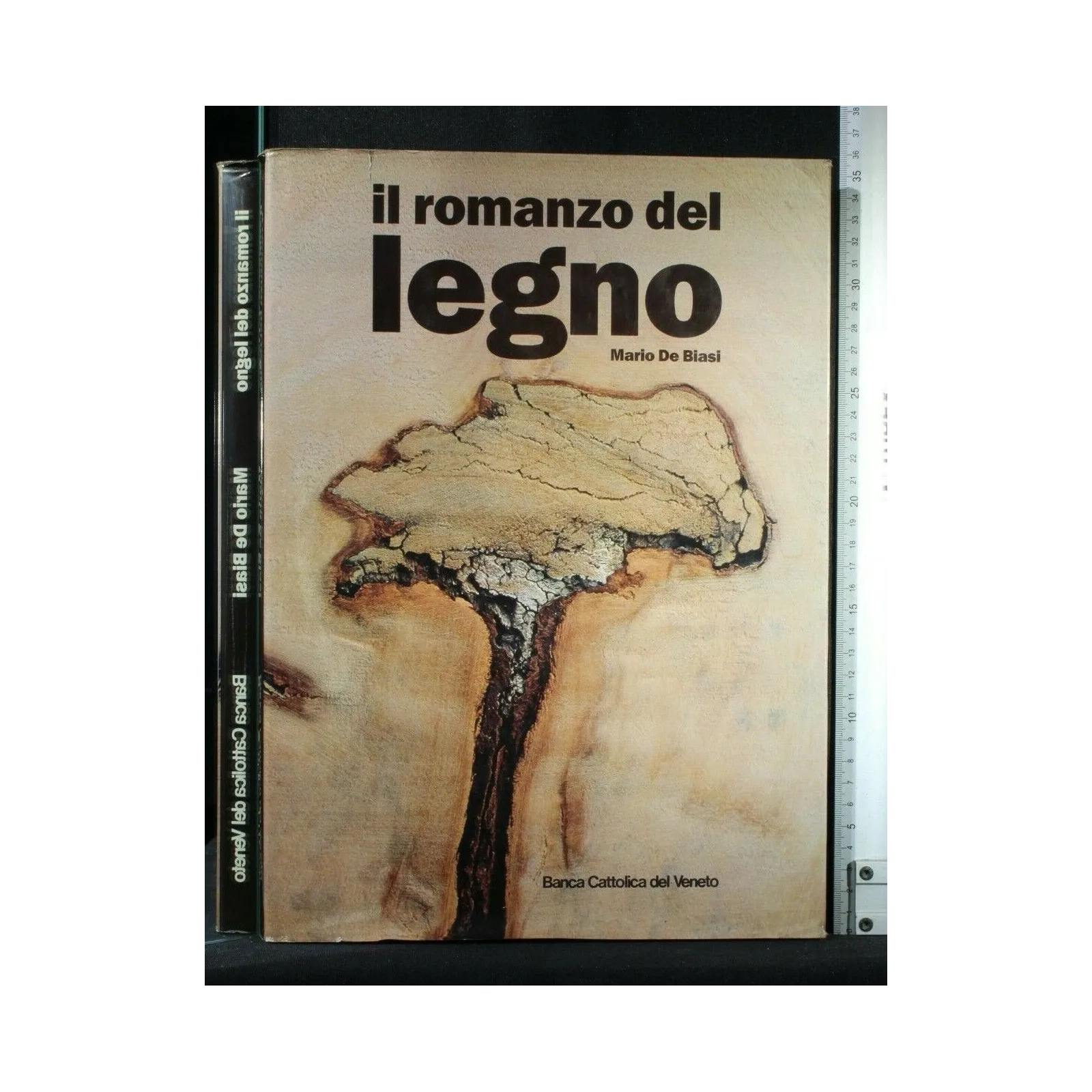 IL ROMANZO DEL LEGNO