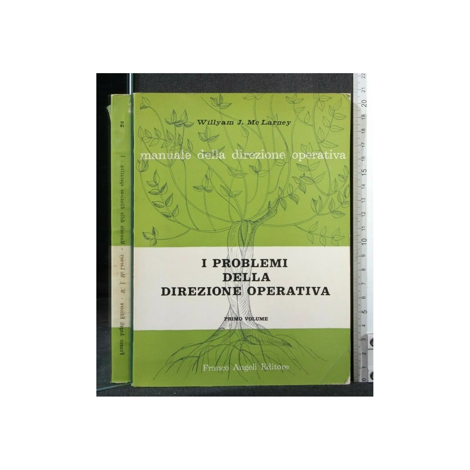 MANUALE DELLA DIREZIONE OPERATIVA I PROBLEMI DELLA DIREZIONE