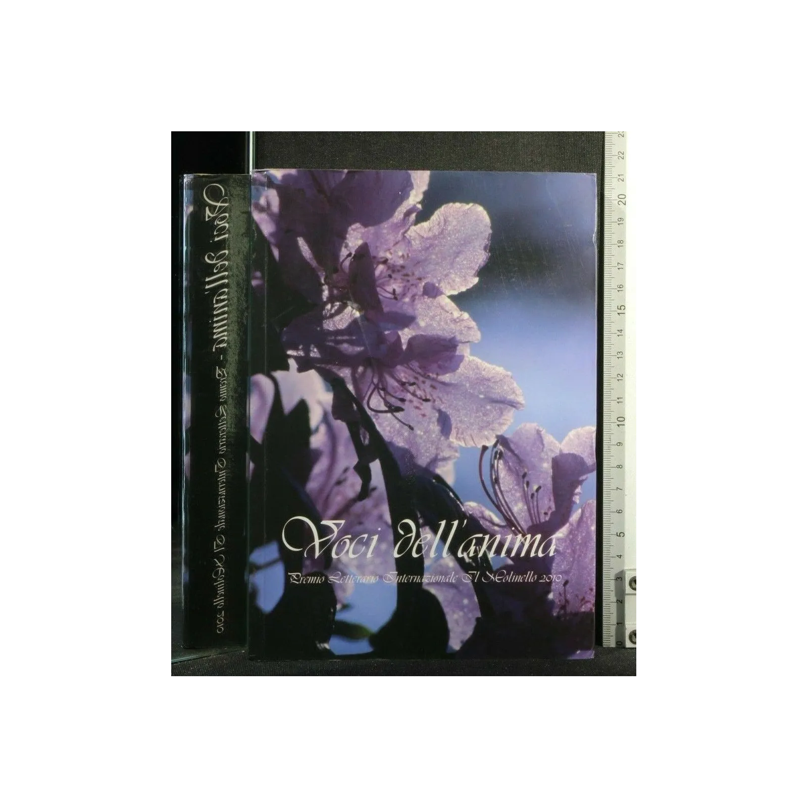 VOCI DELL'ANIMA PREMIO LETTERARIO "IL MOLINELLO" EDIZIONE 2010