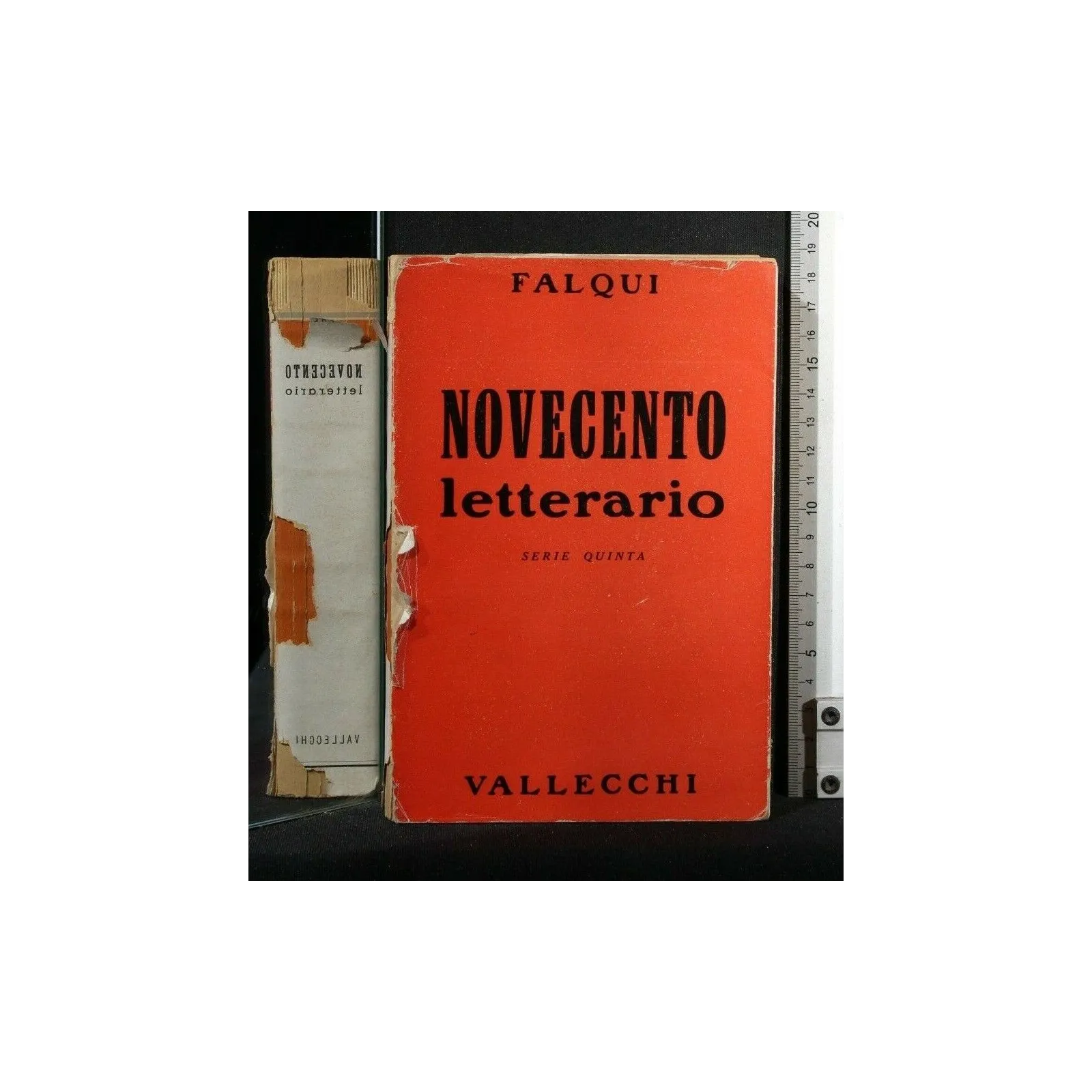 NOVECENTO LETTERARIO