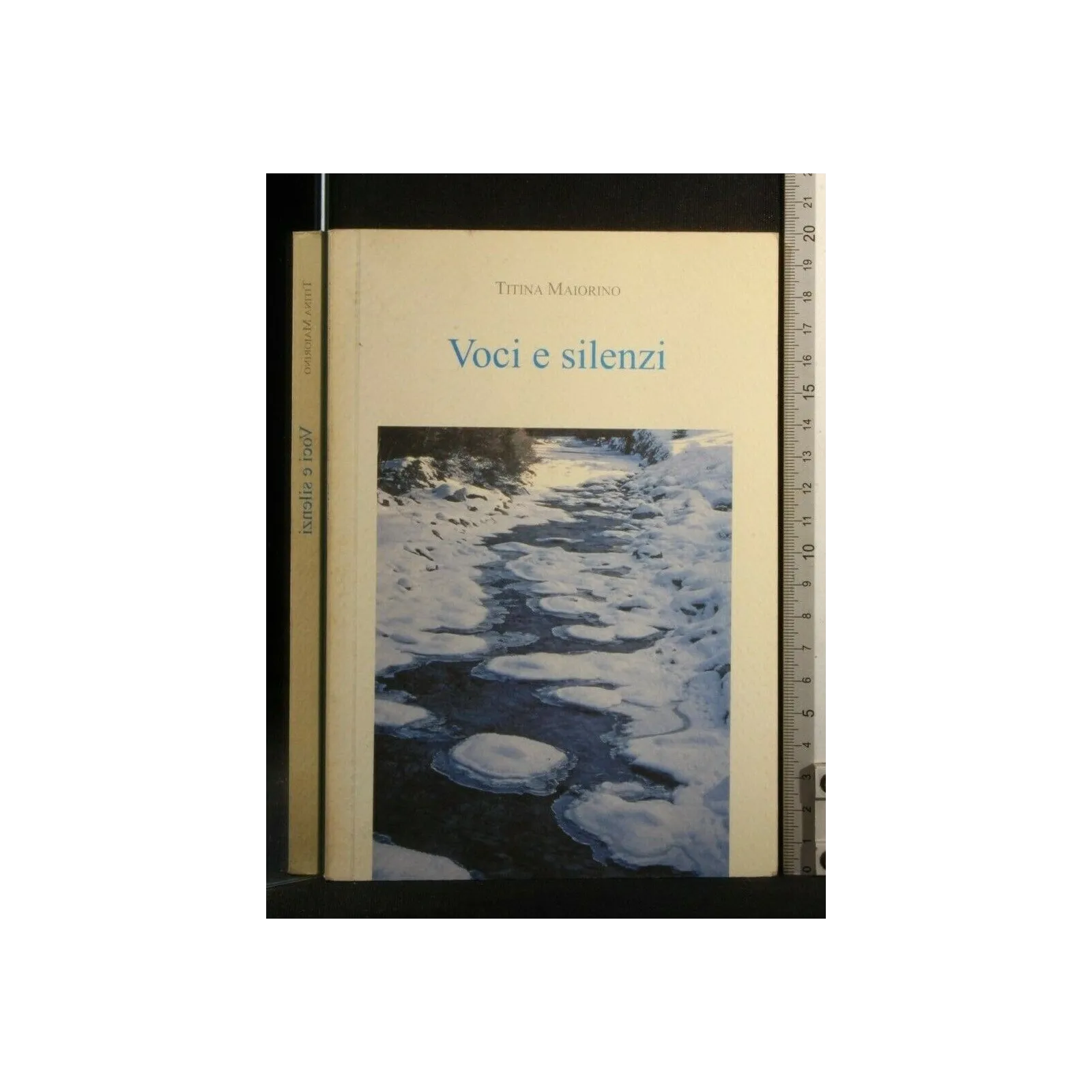 VOCI E SILENZI