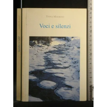 VOCI E SILENZI