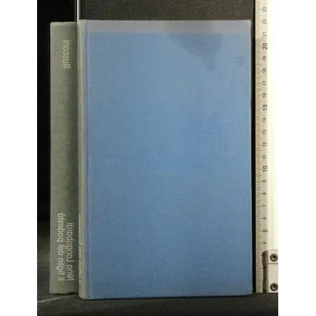 IL FIGLIO DEL PODESTA'