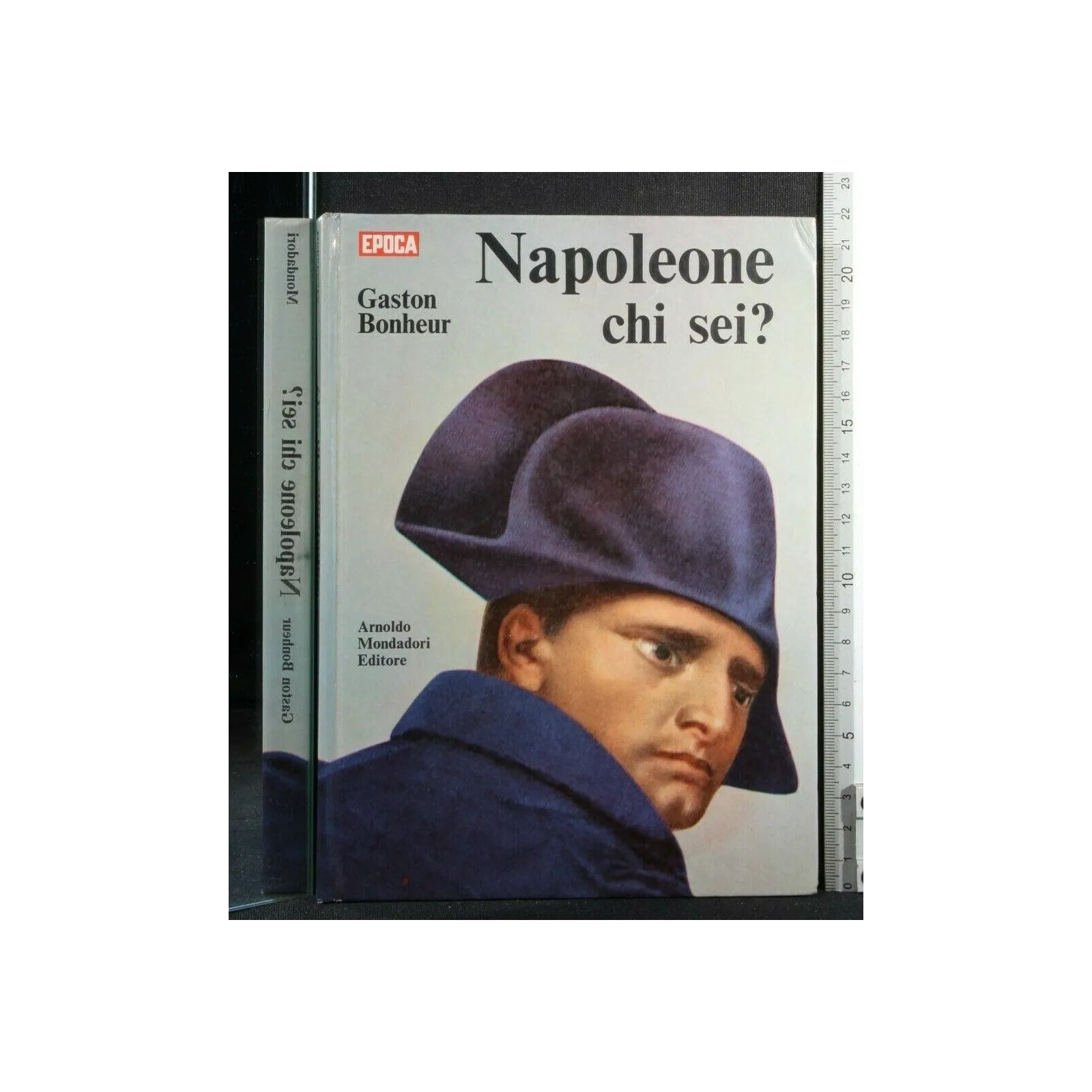 NAPOLEONE CHI SEI?
