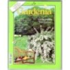 GARDENIA-n 168, aprile-1998
