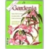 GARDENIA-n 183, luglio-1999