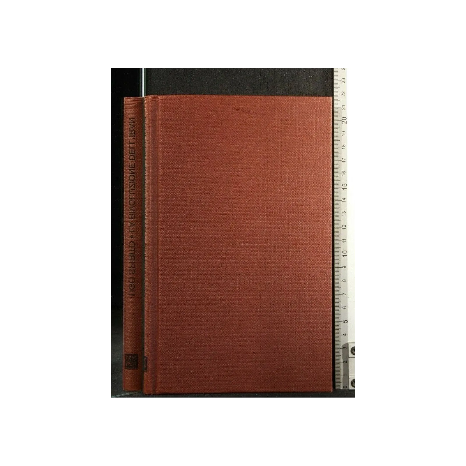 LA RIVOLUZIONE DELL'IRAN