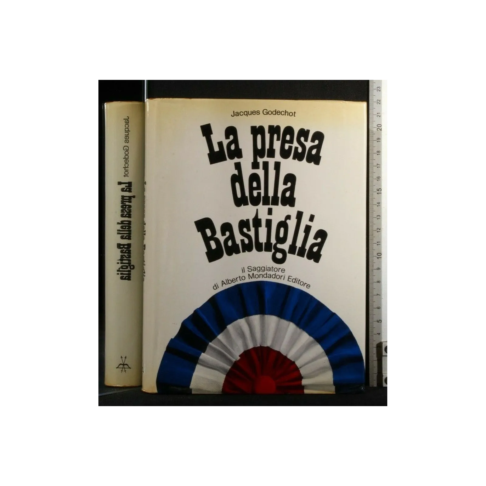 LA PRESA DELLA BASTIGLIA