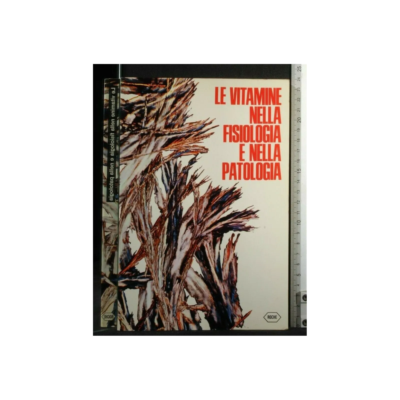 LE VITAMINE NELLA FISIOLOGIA E NELLA PATOLOGIA