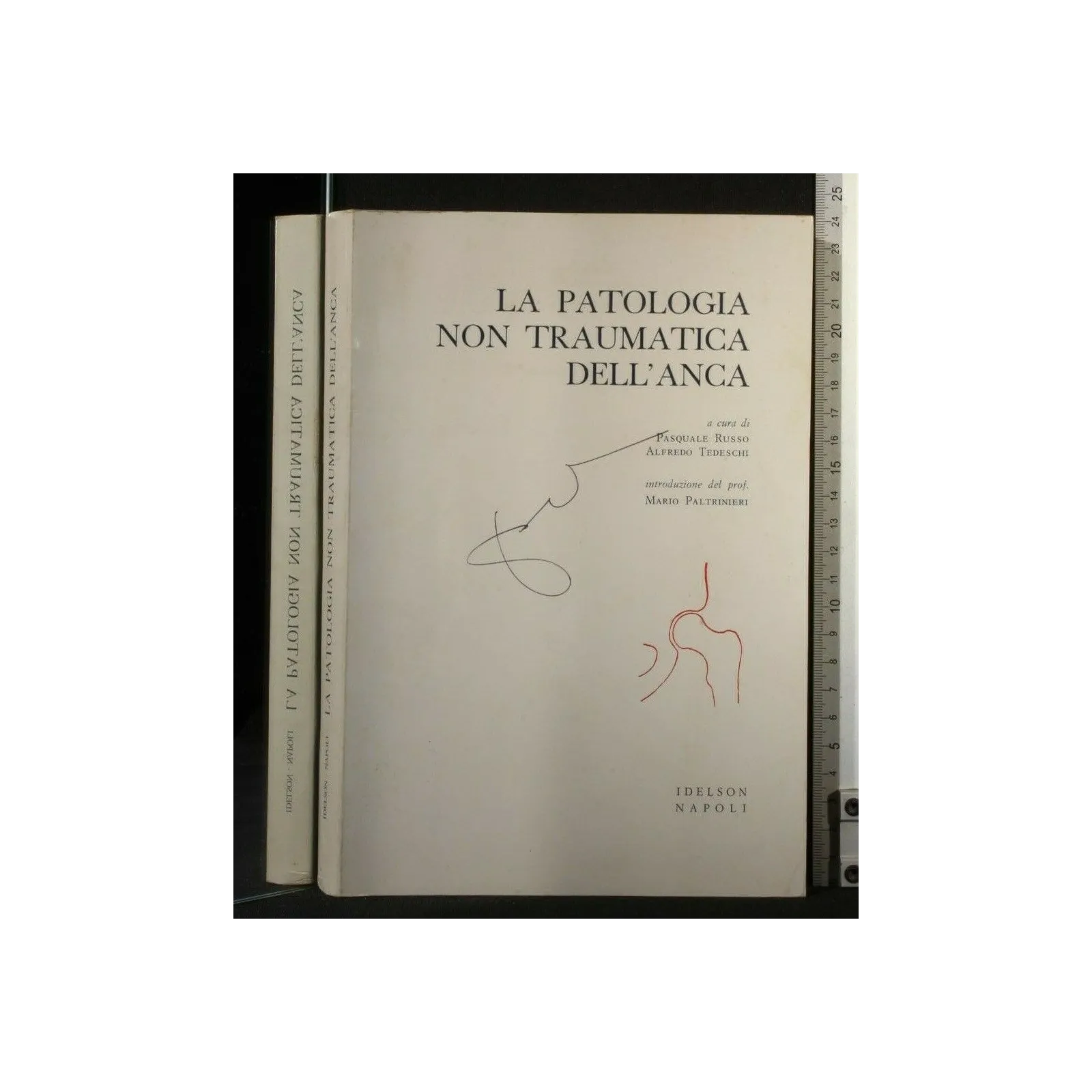 LA PATOLOGIA NON TRAUMATICA DELL'ANCA