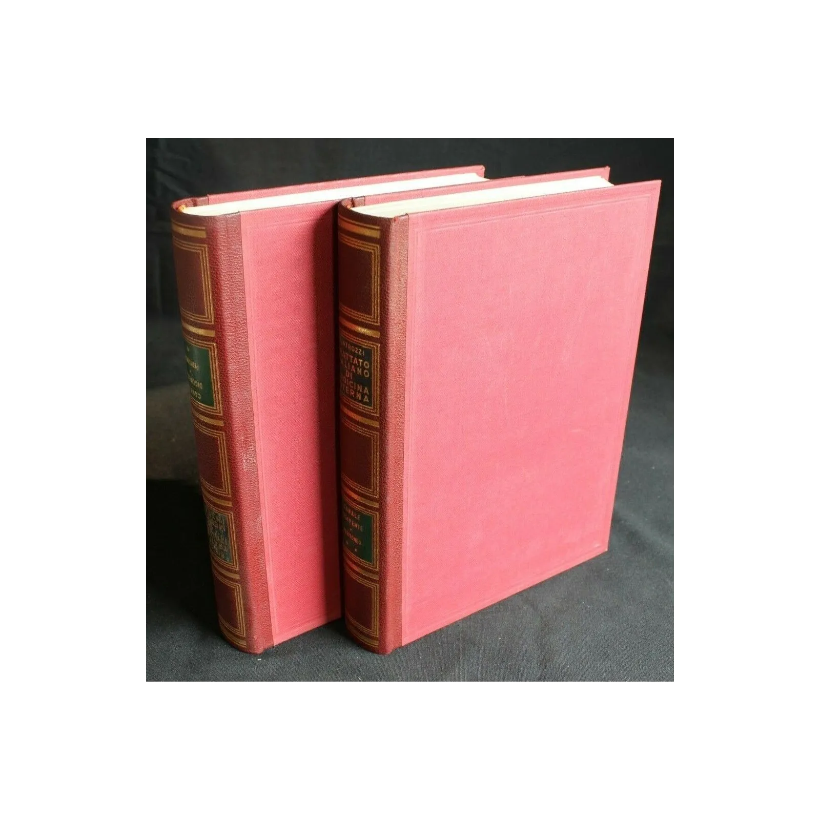 TRATTATO ITALIANO DI MEDICINA INTERNA VOL.1-2