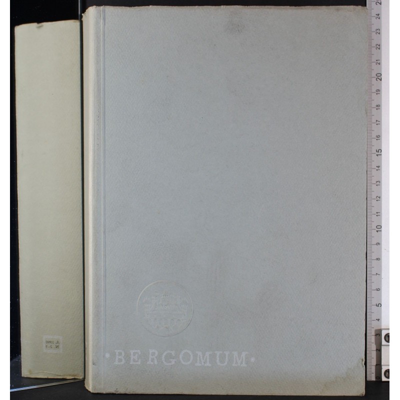 BERGOMUM-n 2-3, apr/set-1990