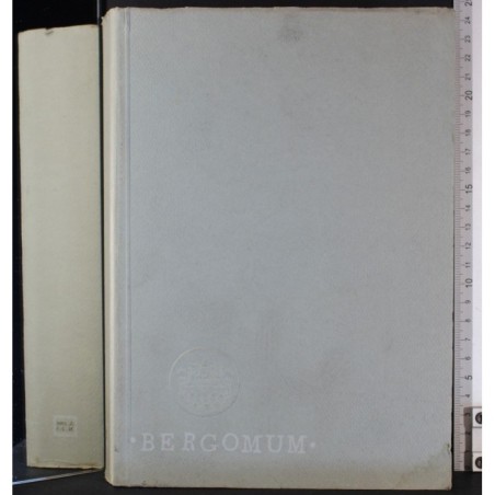 BERGOMUM-n 2-3, apr/set-1990
