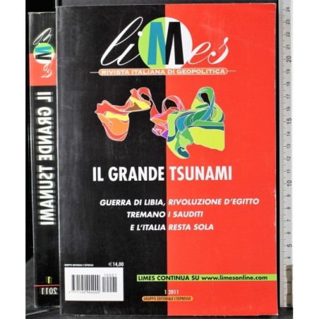 LIMES-n 1-2011