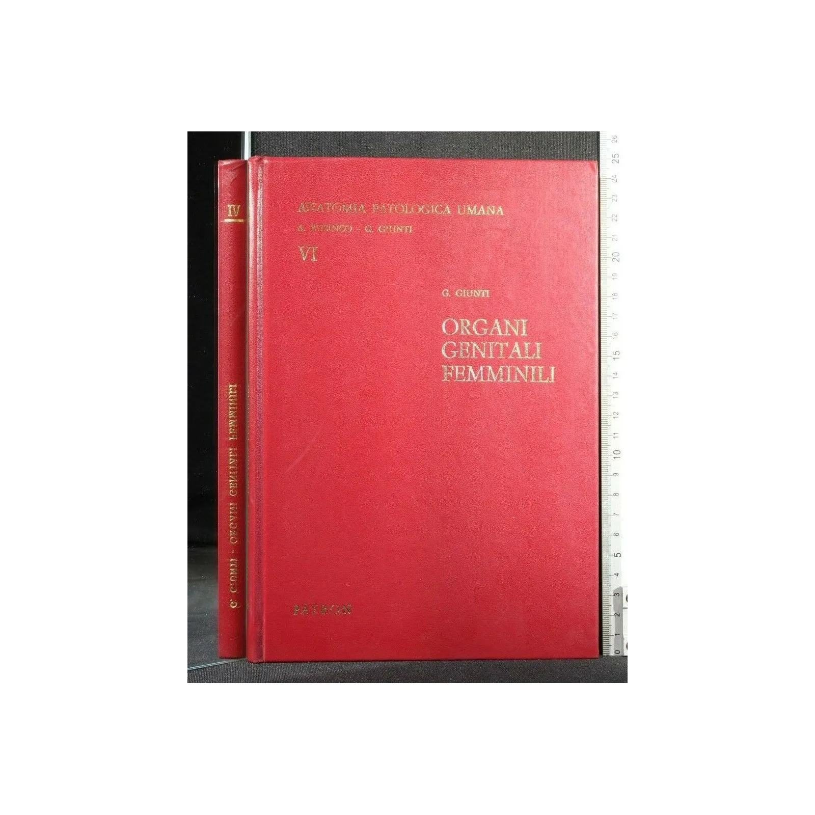 ANATOMIA PATOLOGICA UMANA ORGANI GENITALI FEMMINILI VOLUME 6