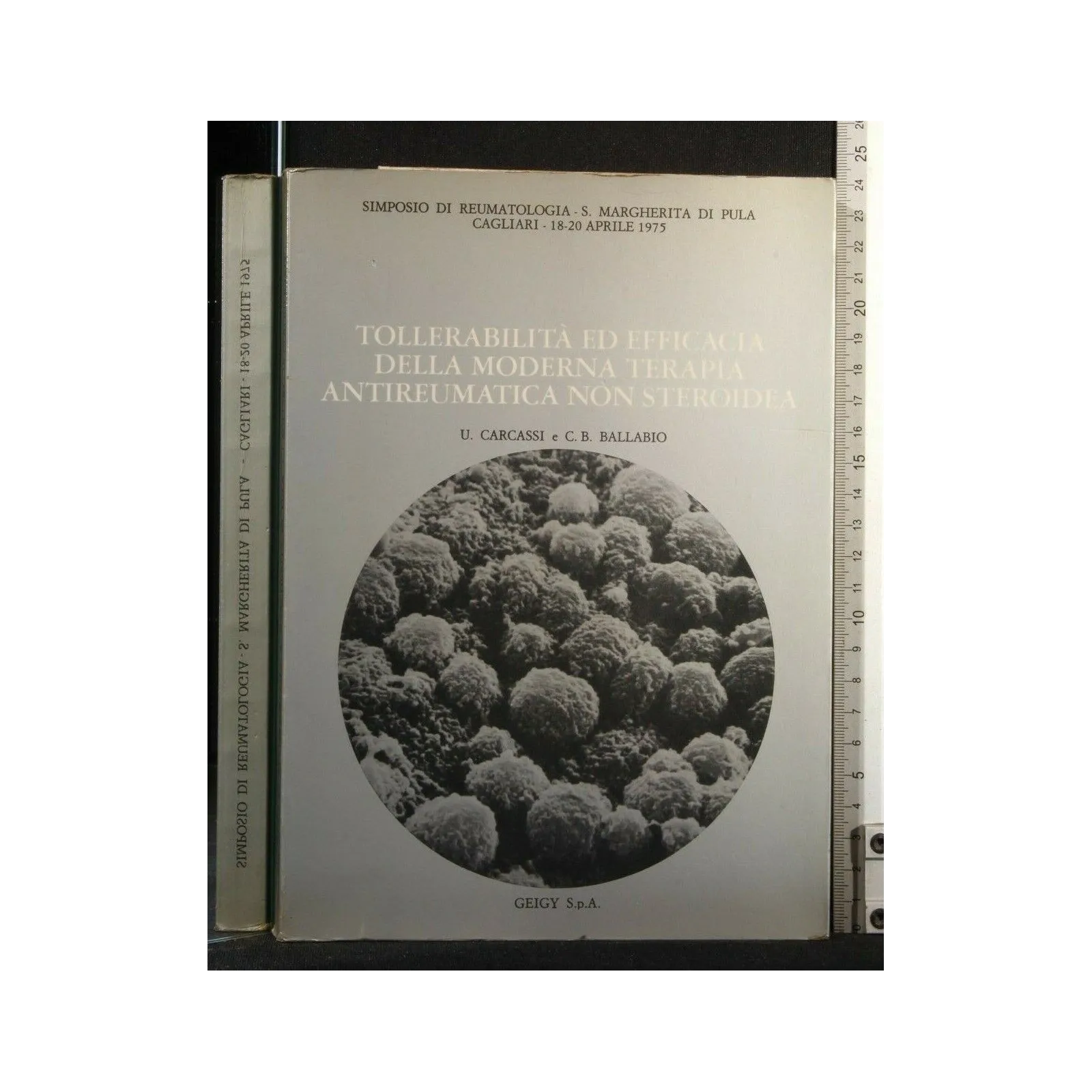 TOLLERABILITA' ED EFFICACIA DELLA MODERNA TERAPIA ANTIREUMATICA