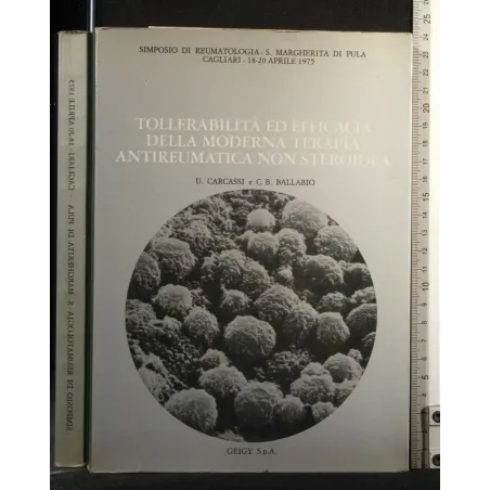 TOLLERABILITA' ED EFFICACIA DELLA MODERNA TERAPIA ANTIREUMATICA