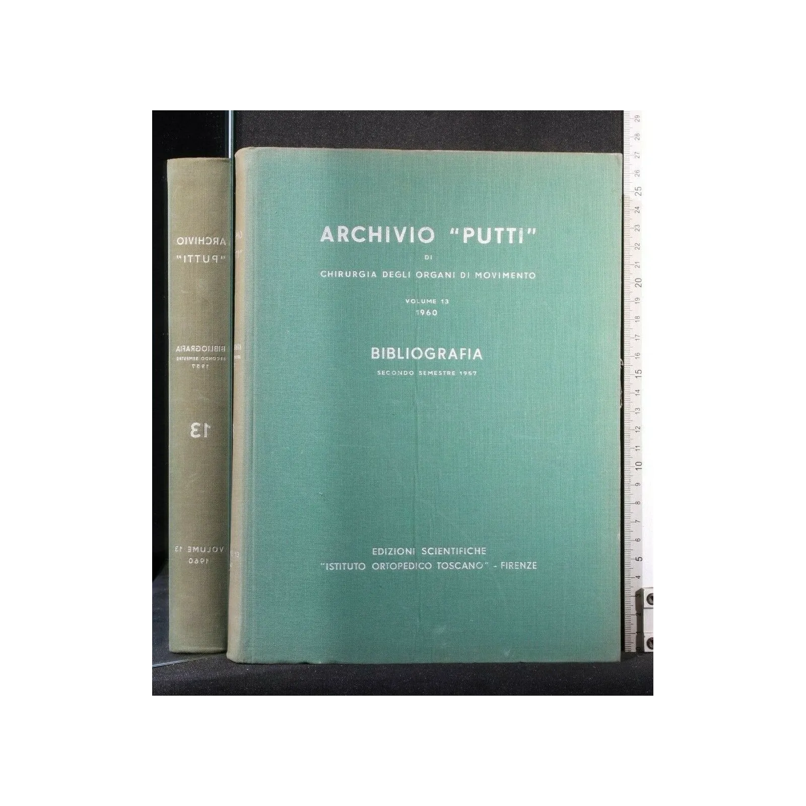 ARCHIVIO ''PUTTI'' DI CHIRURGIA DEGLI ORGANI DI MOVIMENTO VOL 13