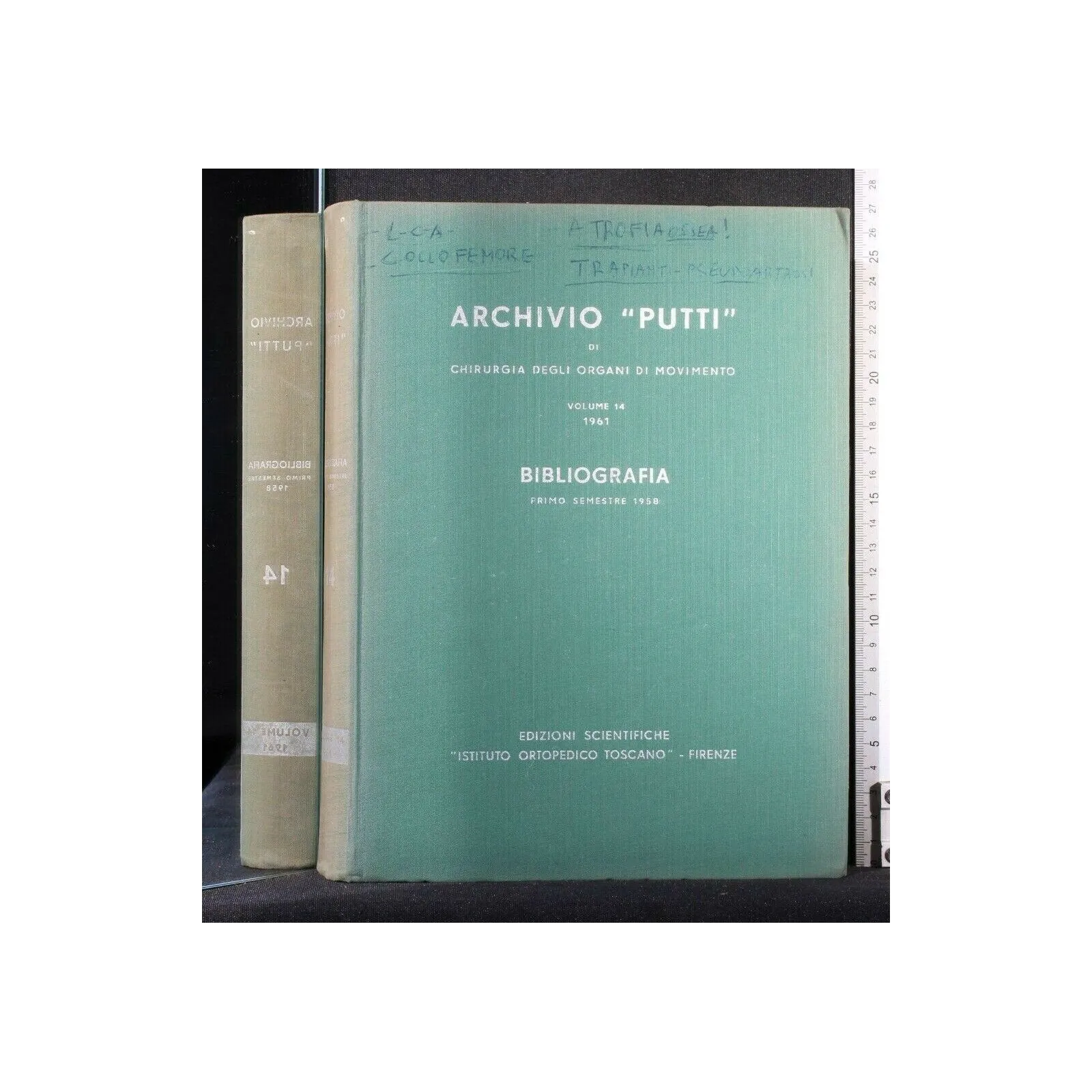 ARCHIVIO ''PUTTI'' DI CHIRURGIA DEGLI ORGANI DI MOVIMENTO VOL 14