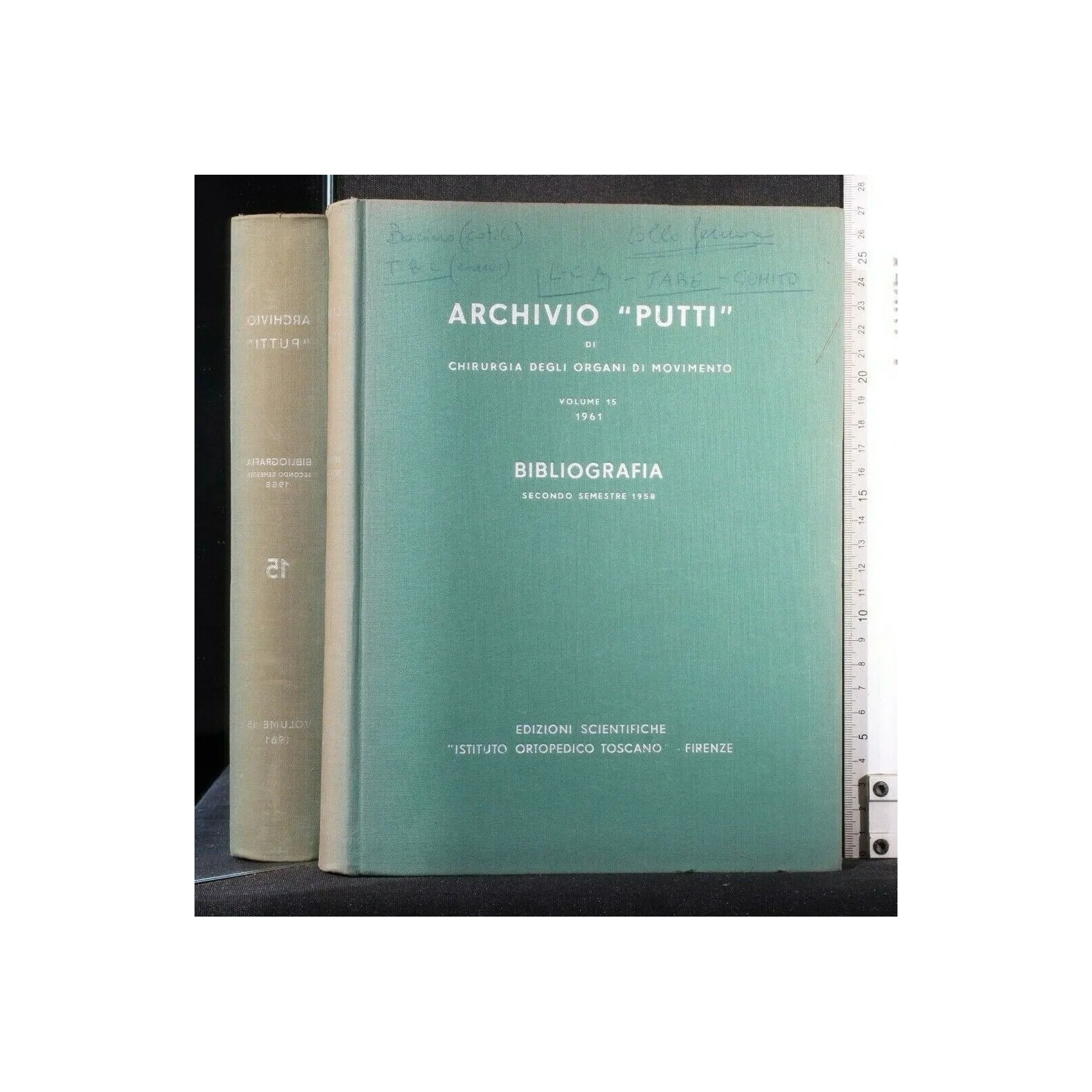 ARCHIVIO ''PUTTI'' DI CHIRURGIA DEGLI ORGANI DI MOVIMENTO VOL 15