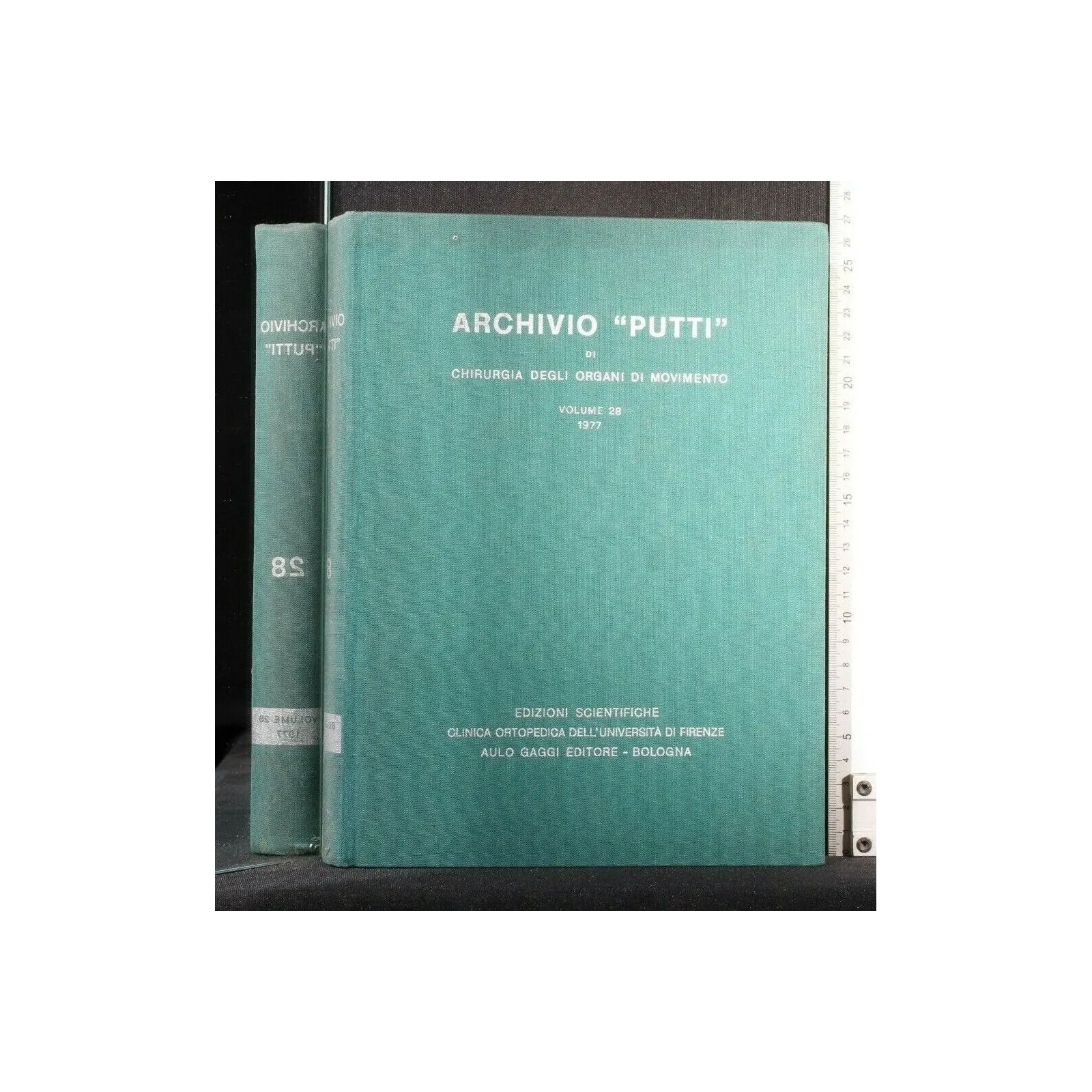 ARCHIVIO ''PUTTI'' DI CHIRURGIA DEGLI ORGANI DI MOVIMENTO VOL 28