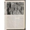 RACCOLTA RIVISTE LE VIE D'ITALIA-gennaio/dicembre-1924