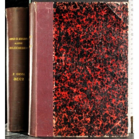 RACCOLTA RIVISTE. RIVISTA PATOLOGIA E CLINICA TUBERCOLOSI-anno X-1936