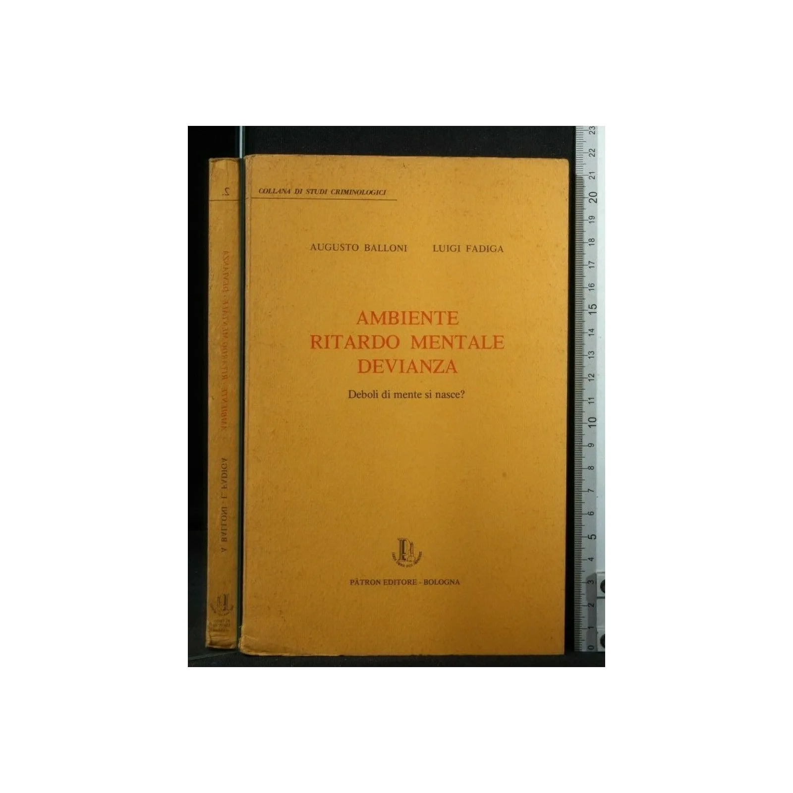 AMBIENTE RITARDO MENTALE DEVIANZA