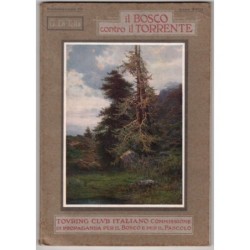 IL BOSCO CONTRO IL TORRENTE-n 191-1912