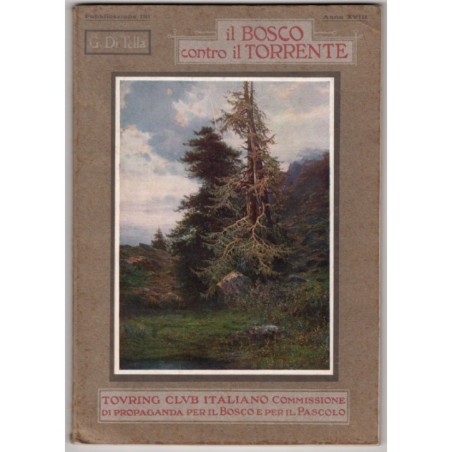 IL BOSCO CONTRO IL TORRENTE-n 191-1912