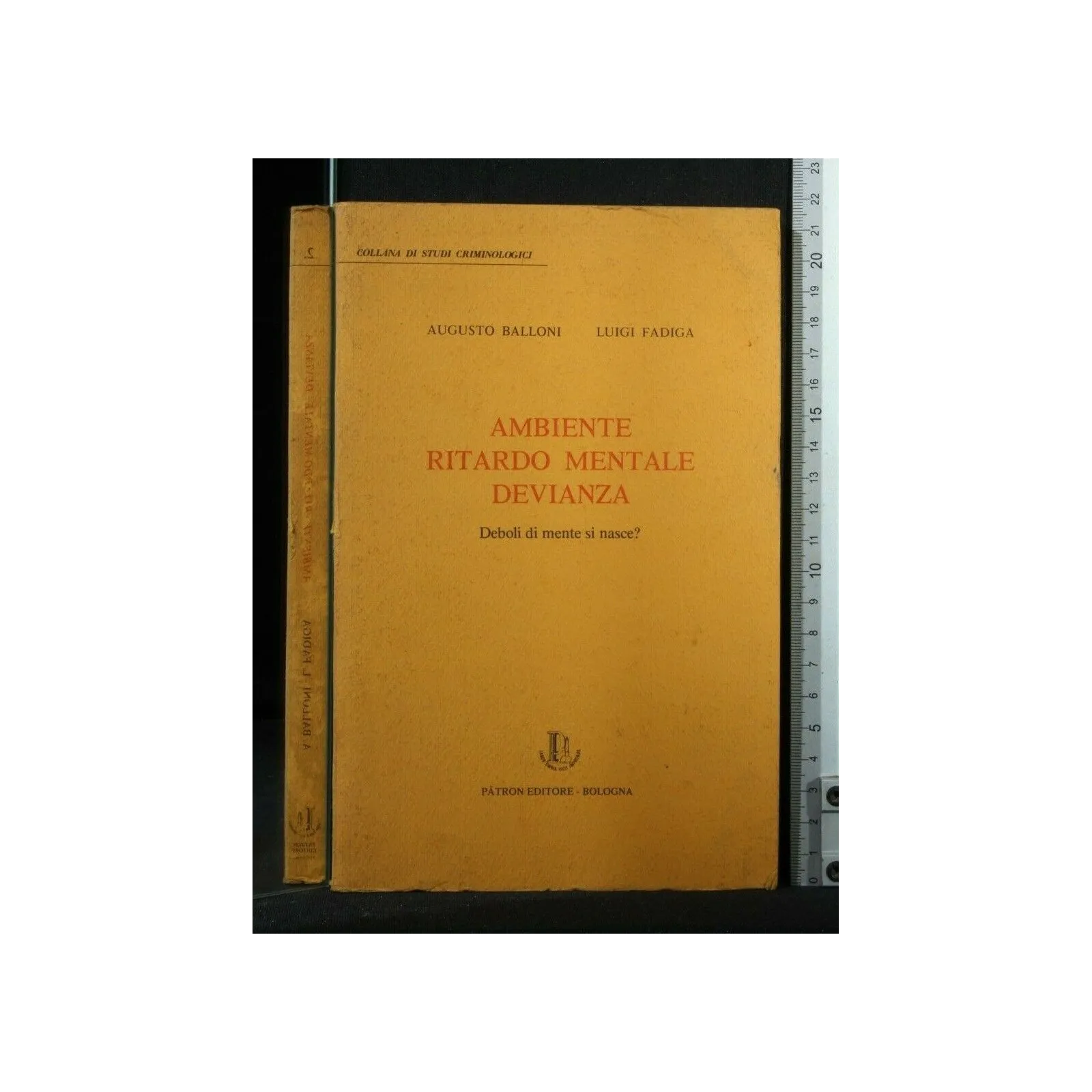 AMBIENTE RITARDO MENTALE DEVIANZA
