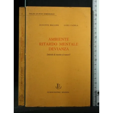 AMBIENTE RITARDO MENTALE DEVIANZA